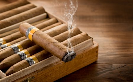 [2025년 11월] 블라인드 테이스팅: Cohiba Behike 54, 명성이 여전한가?