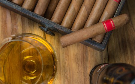 Habanos S.A. 공식 발표: 2025년 가격 인상률과 시장 재편 전망 분석