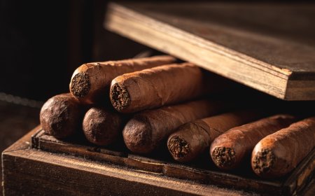 2025년 완벽 정리! 시가 등급(Rating)의 의미와 주요 매체의 평점 기준 해설