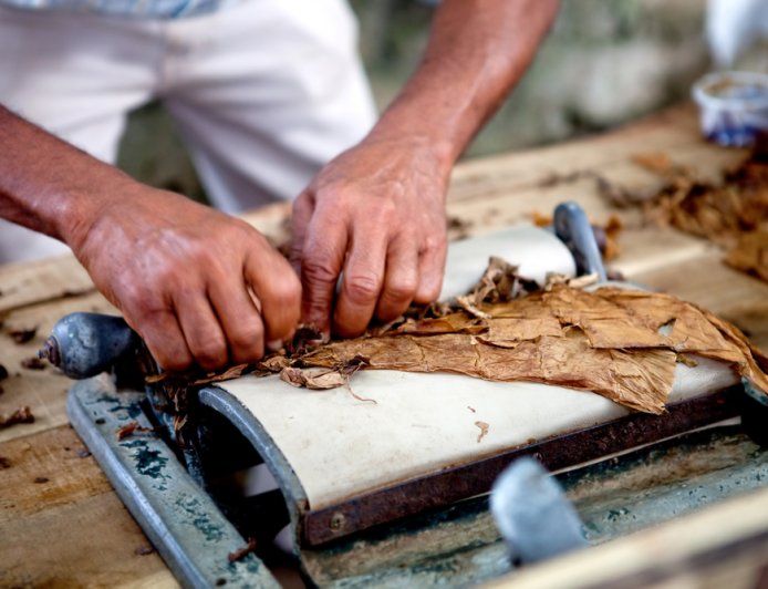 [2025년 상반기] 가성비 최고의 시가 Top 3: 5,000원대 데일리 시가 추천