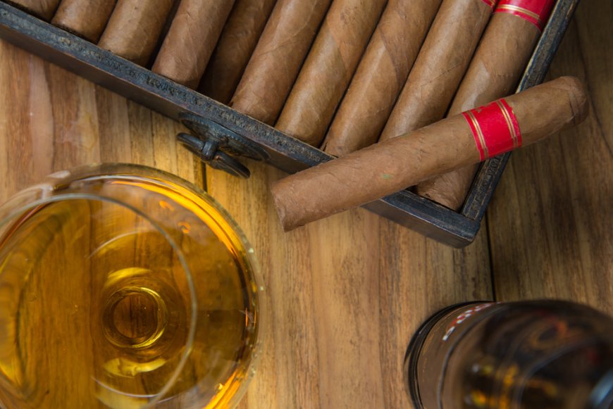 Habanos S.A. 공식 발표: 2025년 가격 인상률과 시장 재편 전망 분석