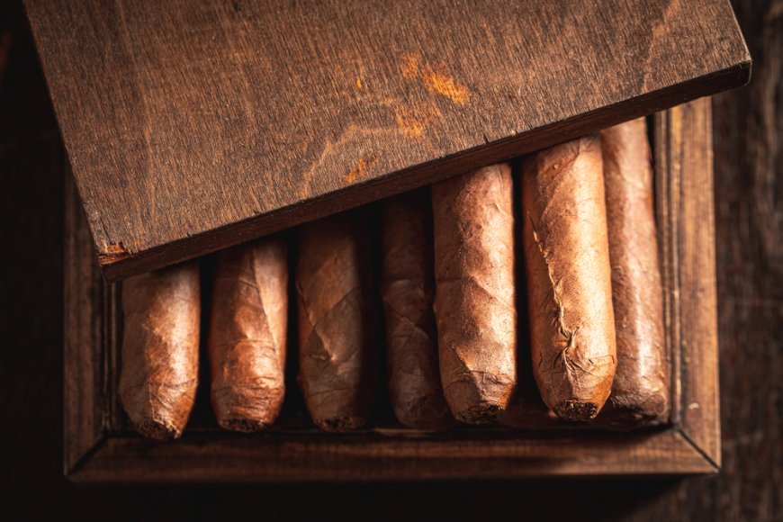 [2025 시가 모임] 서울, 경기 지역 제1회 정모 후기 및 다음 모임 투표